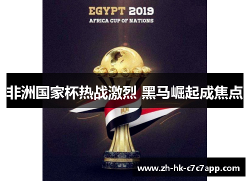 非洲国家杯热战激烈 黑马崛起成焦点